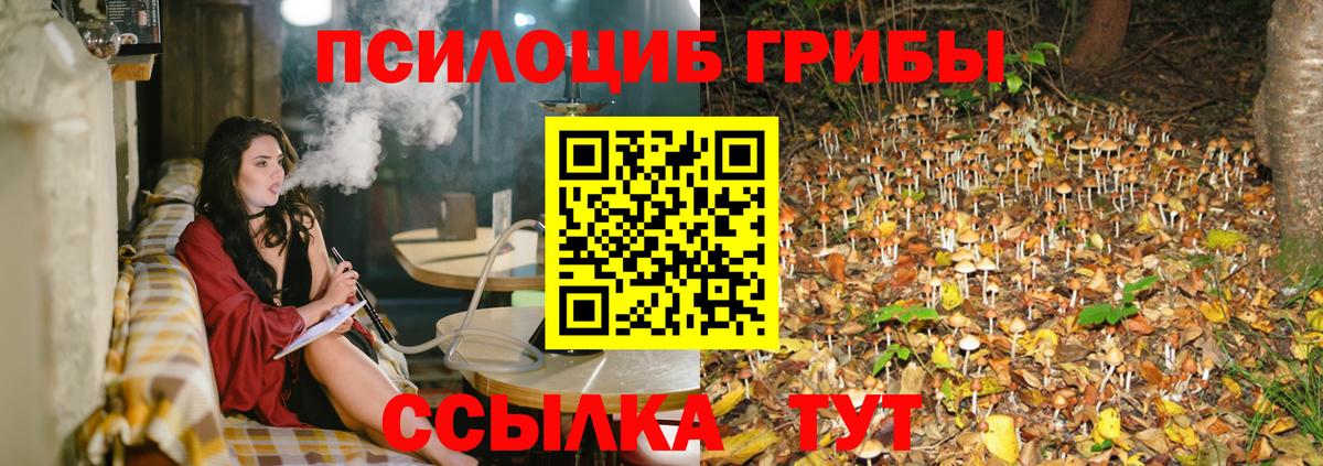 Оренбург  где можно купить наркотик  Вход с VPN  Псилоцибиновые грибы мицелий 